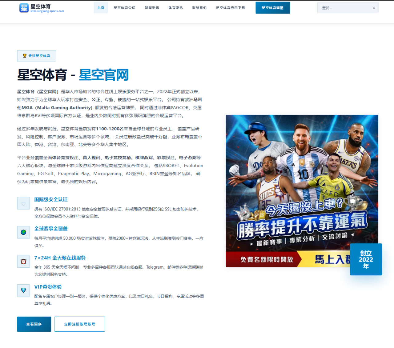 2026年世界杯预选赛中巴西队新星表现与未来发展分析