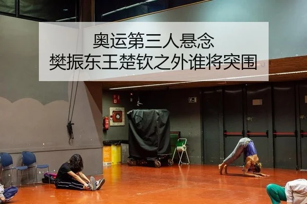 奥运第三人悬念 樊振东王楚钦之外谁将突围