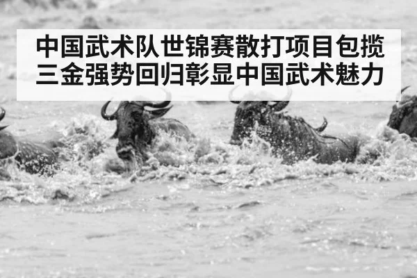 中国武术队世锦赛散打项目包揽三金强势回归彰显中国武术魅力